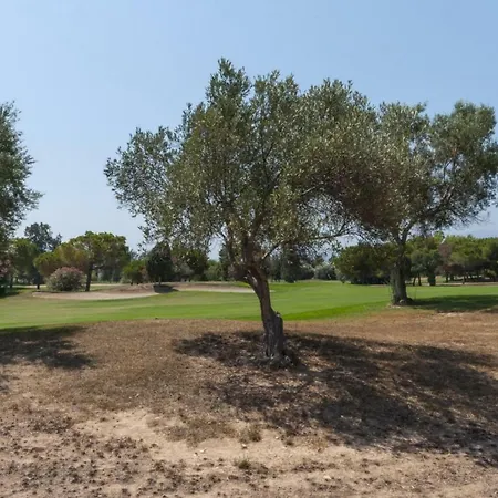 Greenbeach * Oliva