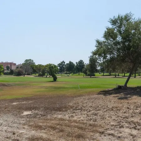 Greenbeach Daire Oliva